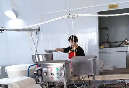 雙層豆皮機