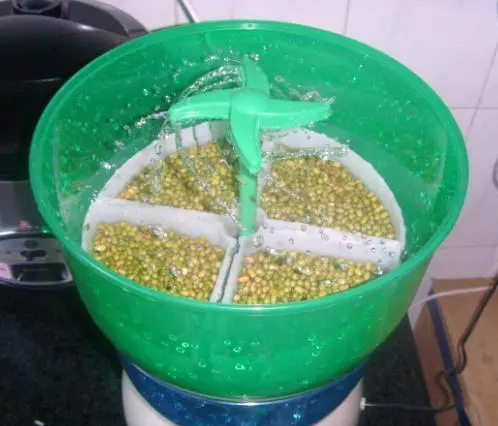 家用豆芽機